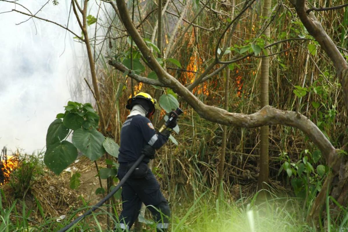 20 incendios forestalesde gran proporción se han registrado en enero en Bucaramanga (Foto: Archivo/ VANGUARDIA LIBERAL)