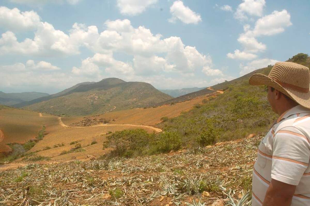 Colombia, uno de los países más desiguales por alta concentración de tierras (Foto: Archivo/VANGUARDIA LIBERAL)