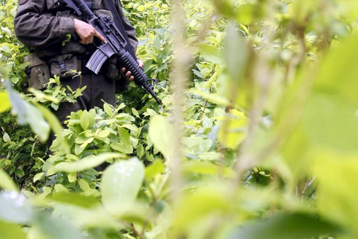 La organización criminal estaba integrada por células ubicadas en las comunidades de Chandler, Stanfield y Maricopa. (Foto: Colprensa/ VANGUARDIA LIBERAL)