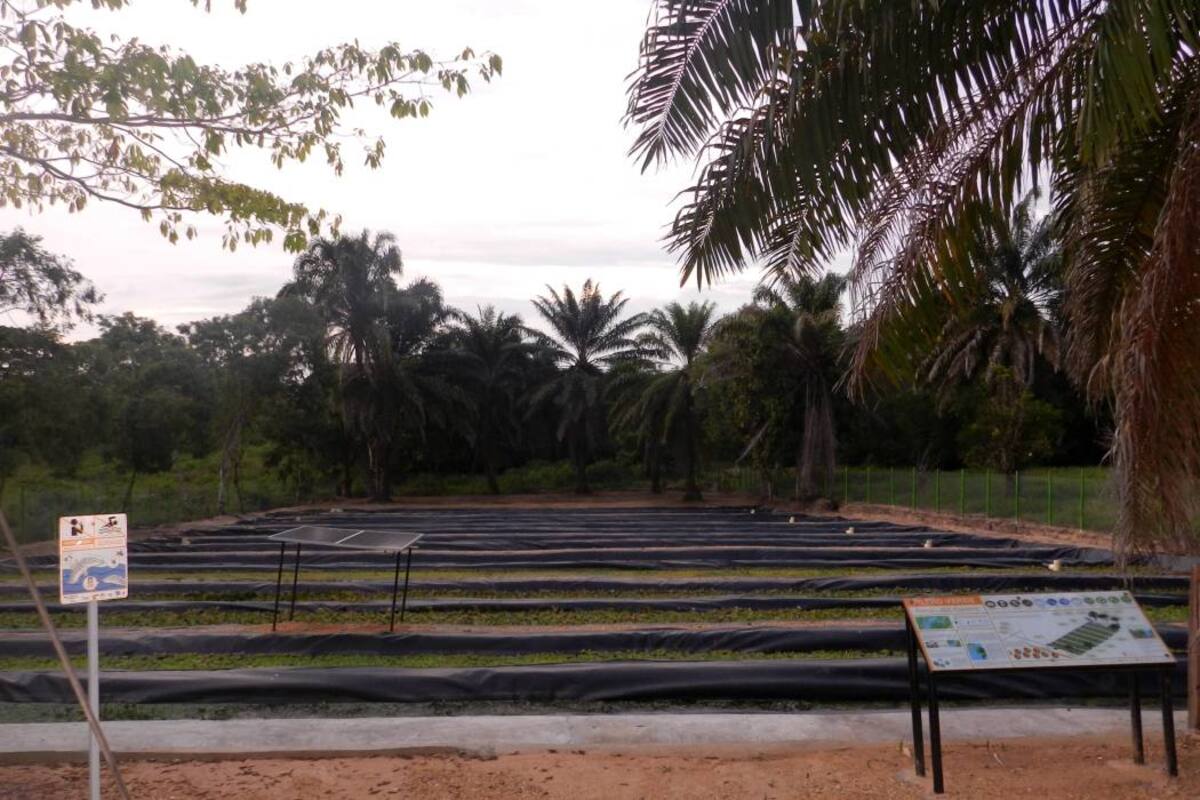 Filtros Verdes: un ‘salvavidas’ de los recursos hídricos en Santander (Foto: Valesca Alvarado/ VANGUARDIA LIBERAL )