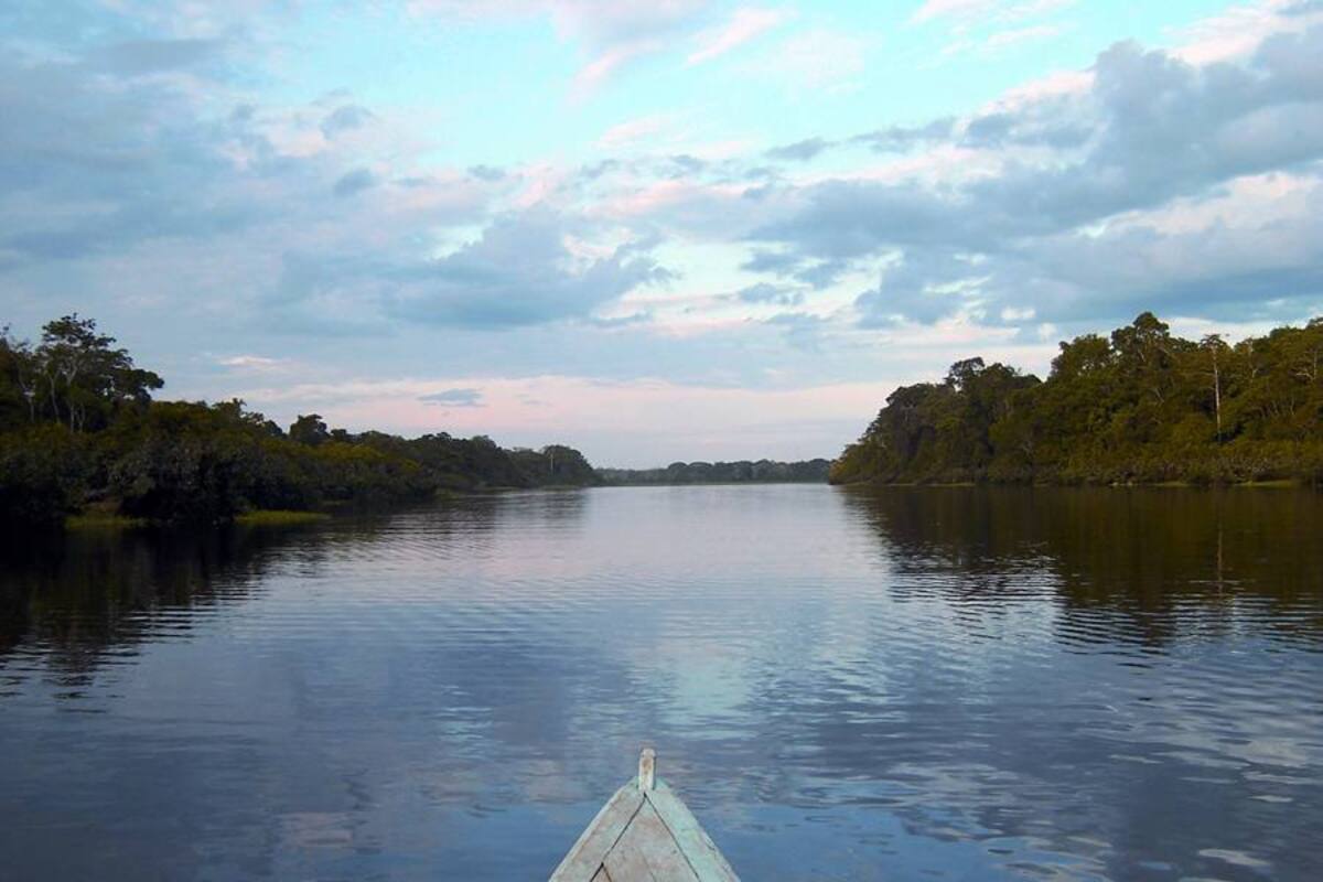 La Amazonia colombiana corresponde al 35% de la superficie total del país, con una extensión aproximada de 477.274 km2. (Foto: Colprensa/ VANGUARDIA LIBERAL)