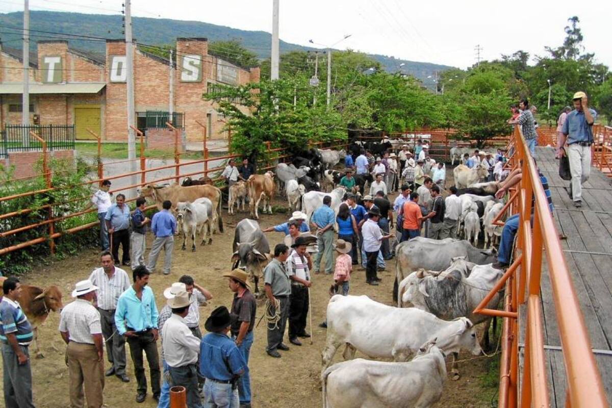 Censo Nacional Agropecuario sigue en etapa de socialización (Foto: Archivo/VANGUARDIA LIBERAL)