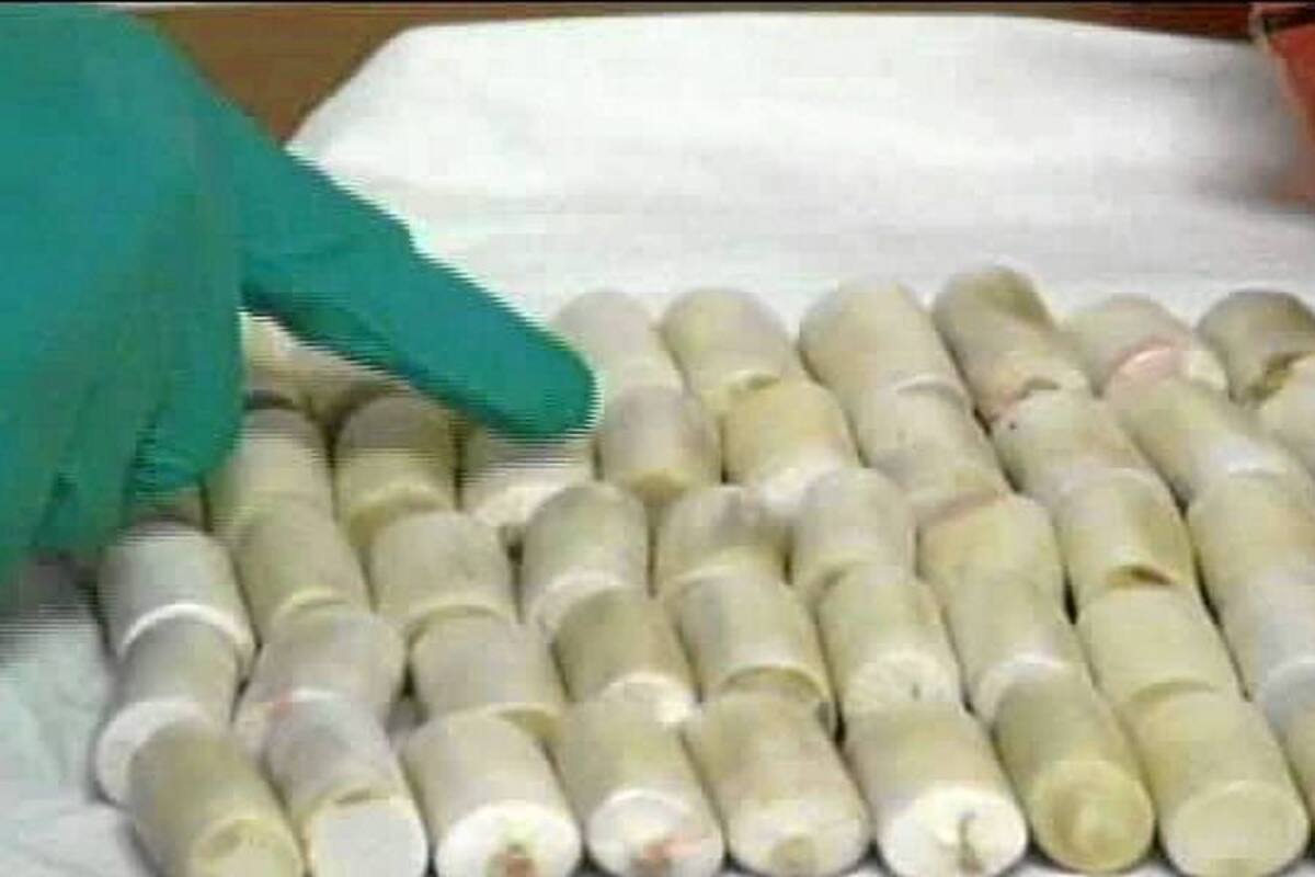 ‘Mulas’ cargadas con dólares sería la nueva estrategia de los ‘narcos’ en Santander (Foto: Suministrada Policía de Santander/ VANGUARDIA LIBERAL)