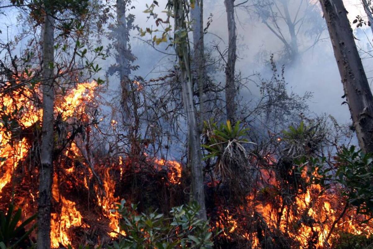 Incendio en Piedecuesta ha incinerado alrededor de 300 hectáreas (Foto: Archivo/VANGUARDIA LIBERAL)