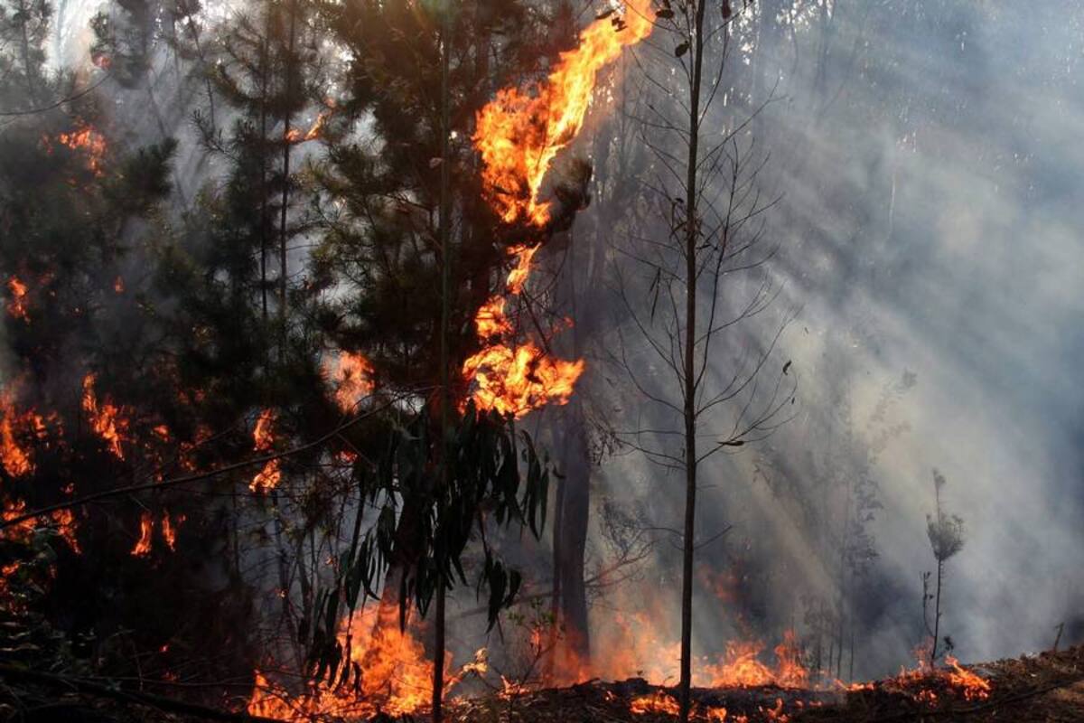 Seis incendios se han registrado este miércoles en Bucaramanga (Foto: Archivo/VANGUARDIA LIBERAL)