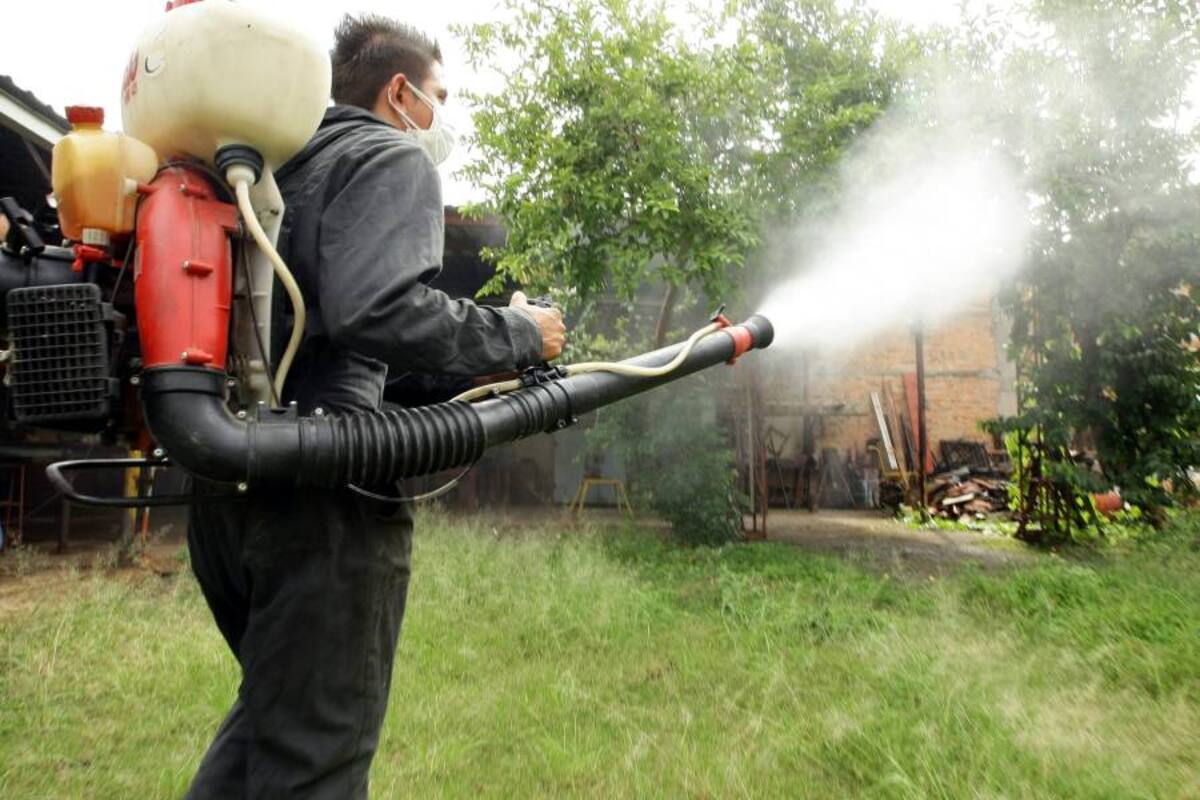 Mañana será el día contra el dengue en Bucaramanga (Foto: Archivo/VANGUARDIA LIBERAL)