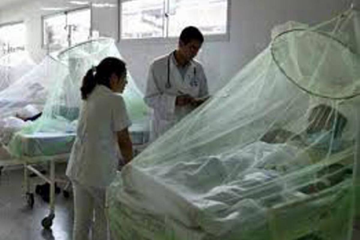 Más de mil muertes por dengue ponen en vilo a la región (Foto: Colprensa/ VANGUARDIA LIBERAL)