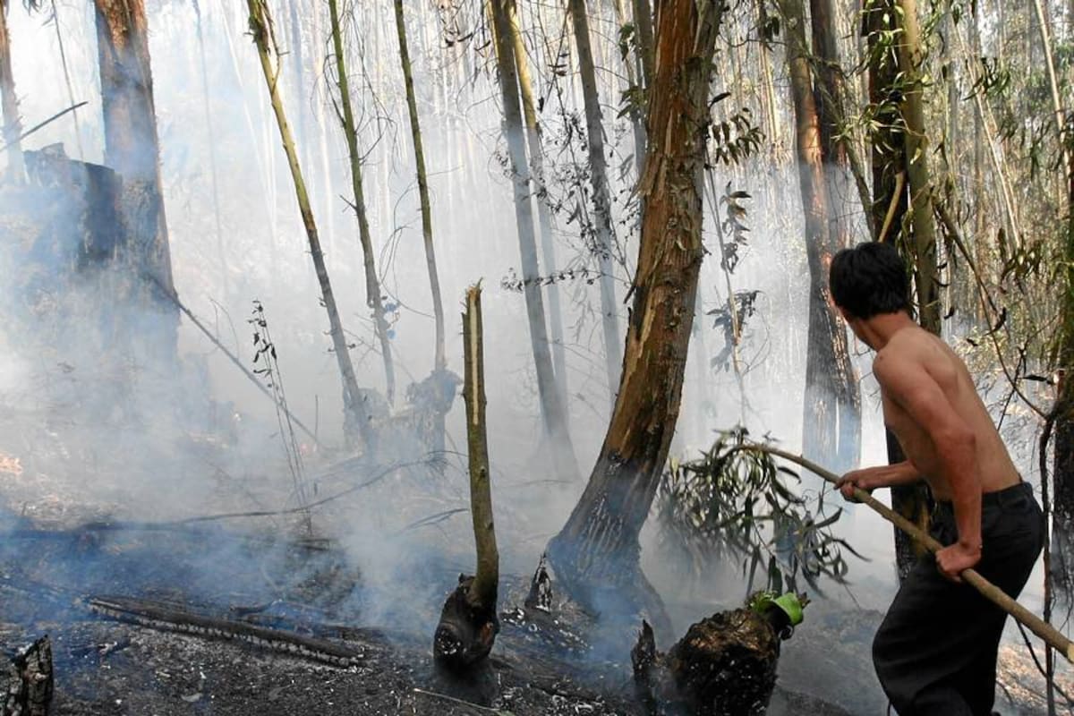 Ante el incremento de incendios forestales se deberán activar planes contingentes (Foto: Archivo/ VANGUARDIA LIBERAL)