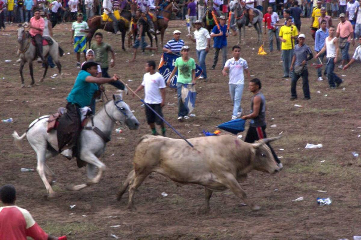 "Las corralejas no se van a acabar": Presidente de Asotoros (Foto: Archivo/VANGUARDIA LIBERAL)