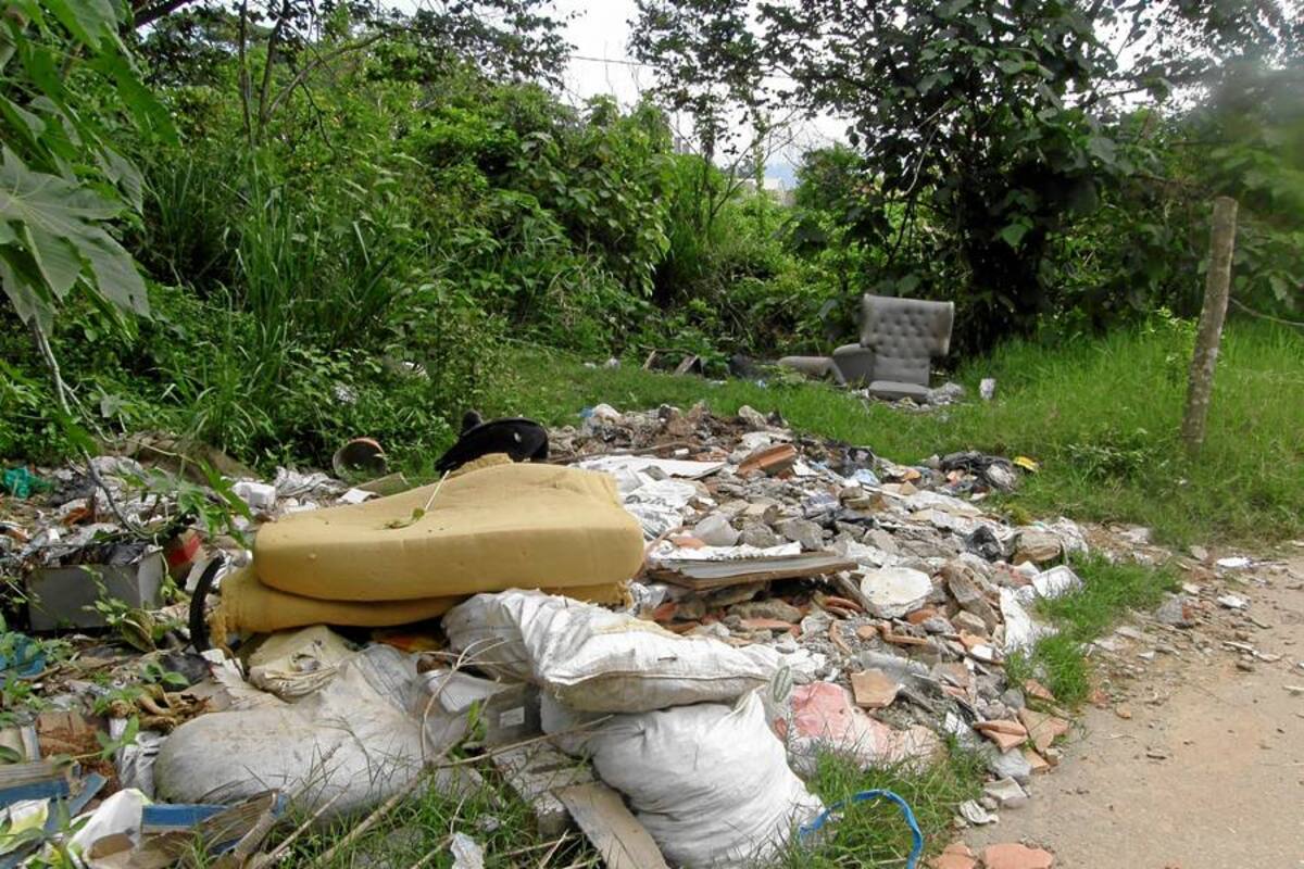 La población puede denunciar delitos ambientales a la Cdmb (Foto: Archivo/VANGURDIA LIBERAL)