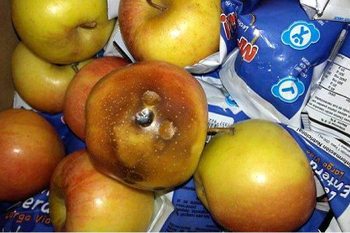 Nueva denuncia por entrega de alimentos en mal estado a colegio de Santander (Foto: Suministrada /VANGUARDIA LIBERAL)