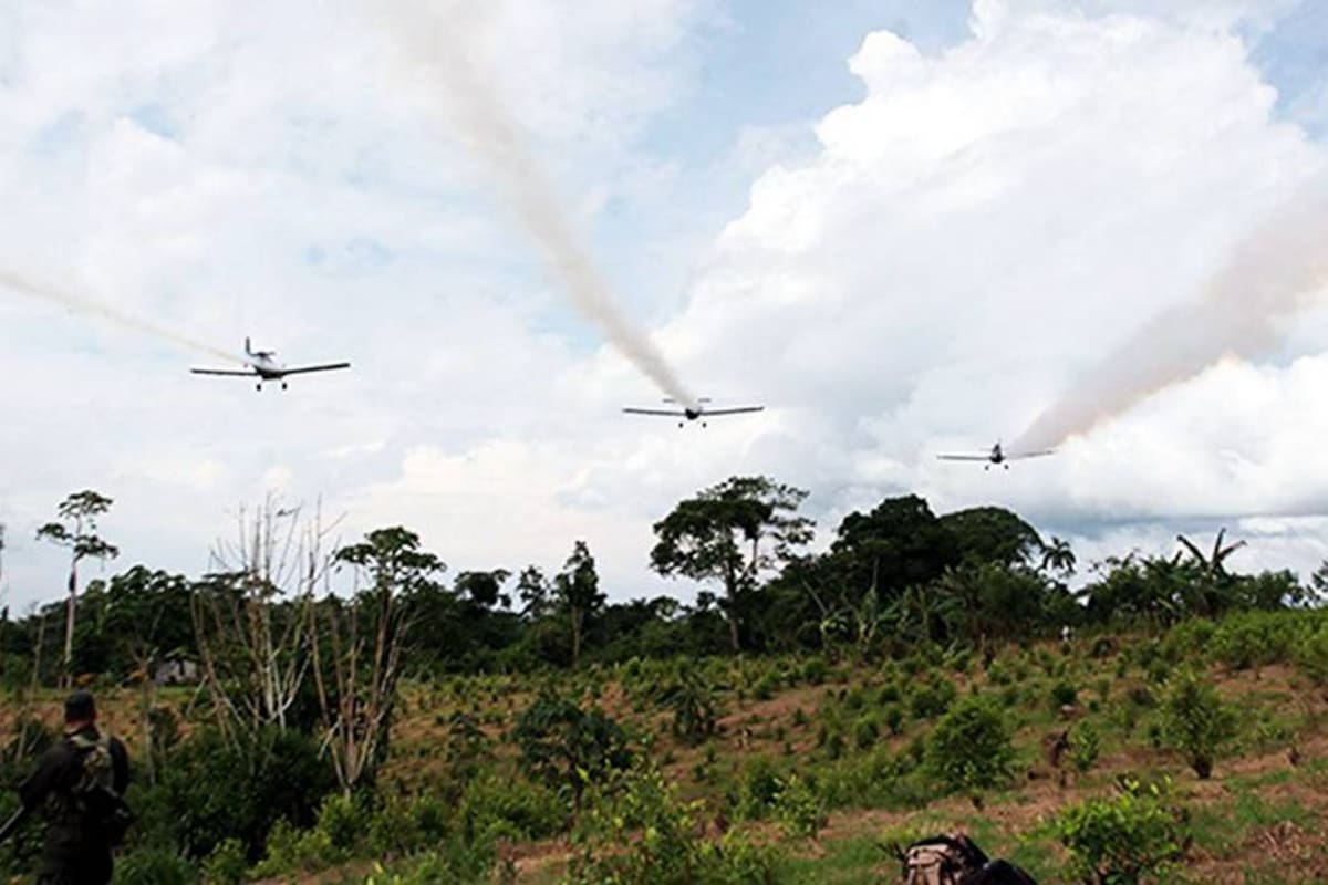 El Gobierno Nacional retomará la fumigación con glifosato. Foto: Archivo particular/VANGUARDIA