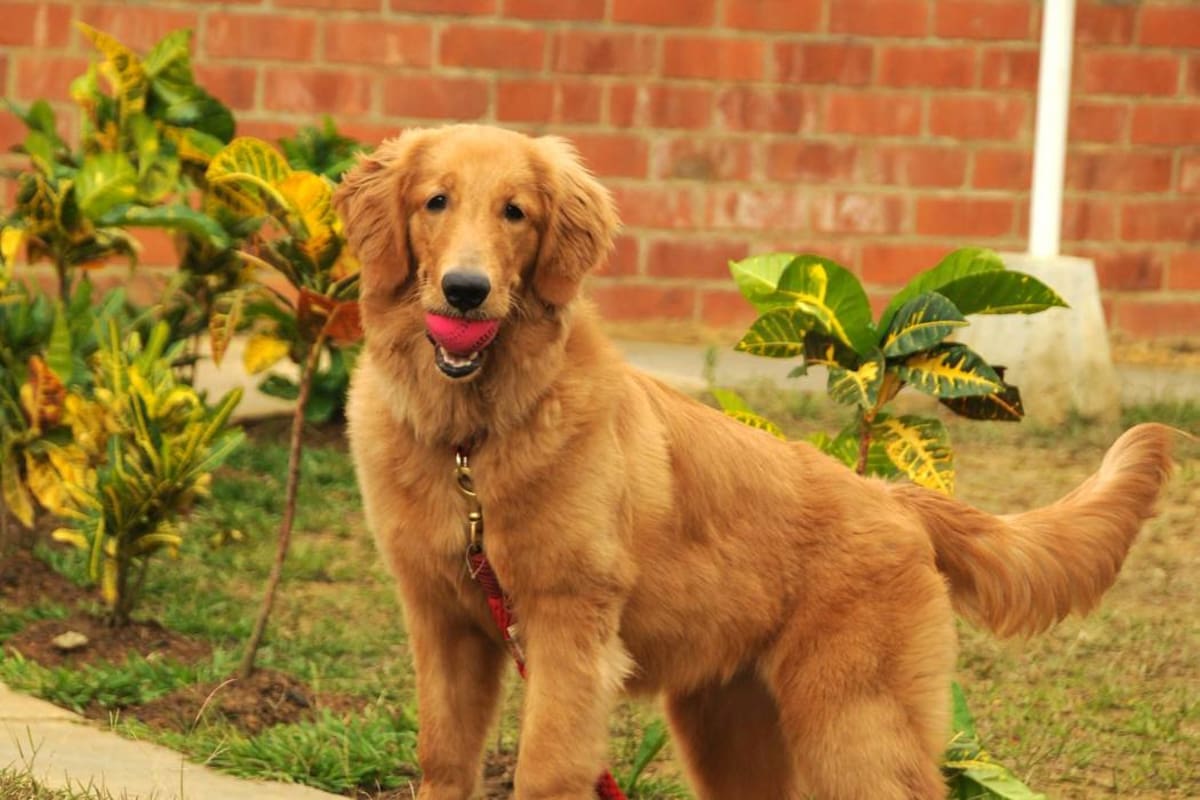 Estos consejos lo pueden ayudar a salir de un aprieto. (Foto: Archivo /VANGUARDIA LIBERALa)