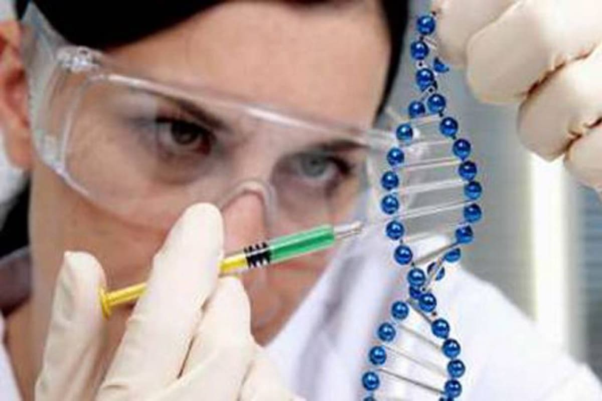 La genética cambiará la interpretación de la evolución humana (Foto: Tomado de lapatilla.com)