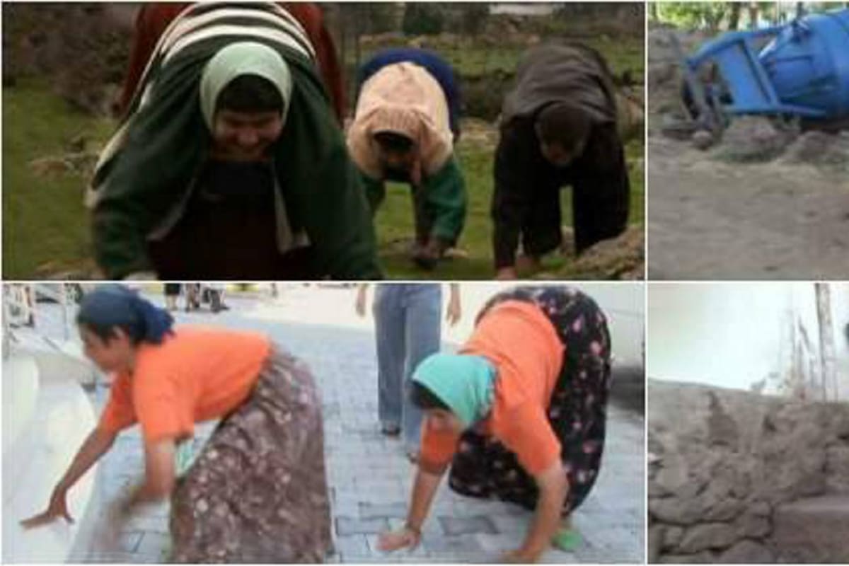 El extraño caso de los humanos cuadrúpedos (Foto: El Colombiano/VANGUARDIA LIBERAL)