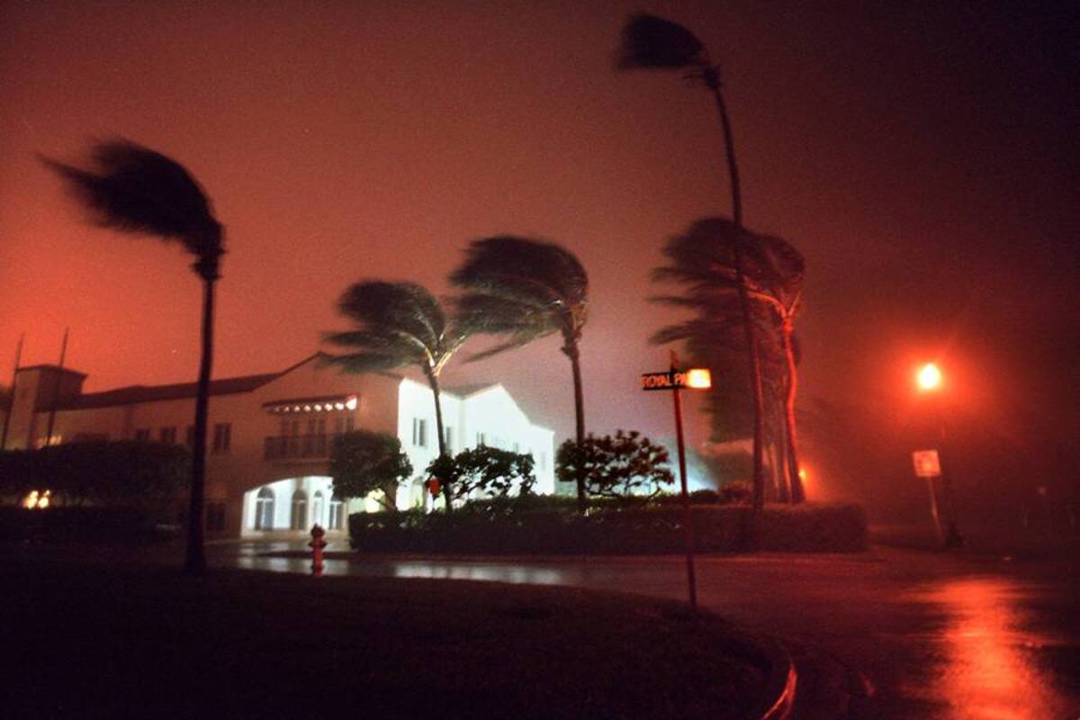 La mayoría de las muertes se produjeron por caídas de árboles, accidentes de tránsito o cuando personas fueron arrastradas por las inundaciones. (Foto: Archivo/VANGUARDIA LIBERAL)