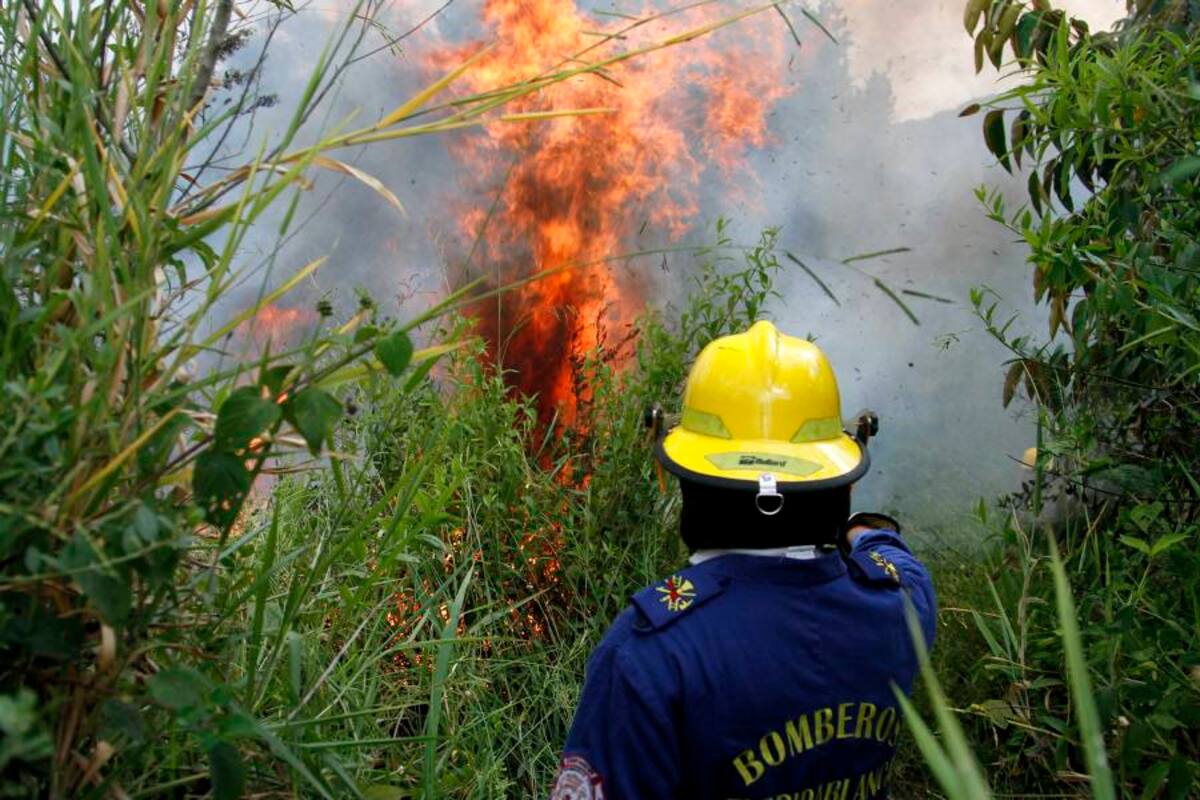 Se prenden las alertas para prevenir incendios ante la temporada de calor (Foto: Archivo/VANGUARDIA LIBERAL)