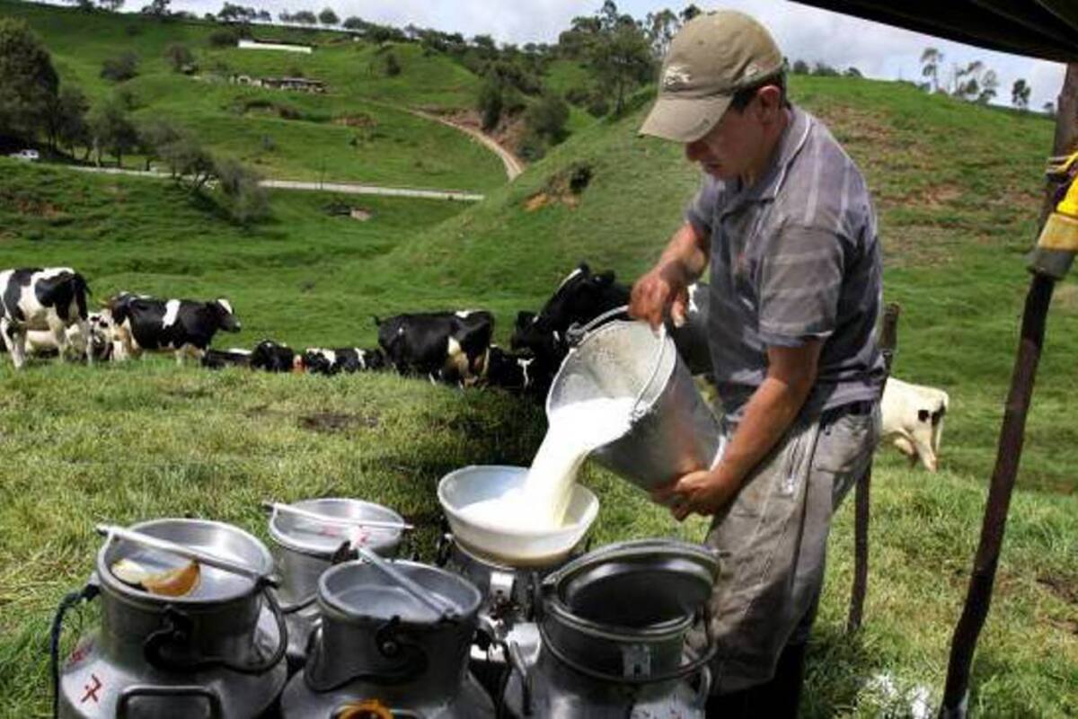 El campo colombiano tiene inventario luego de 45 años (Foto: Tomada de elcolombiano.com)