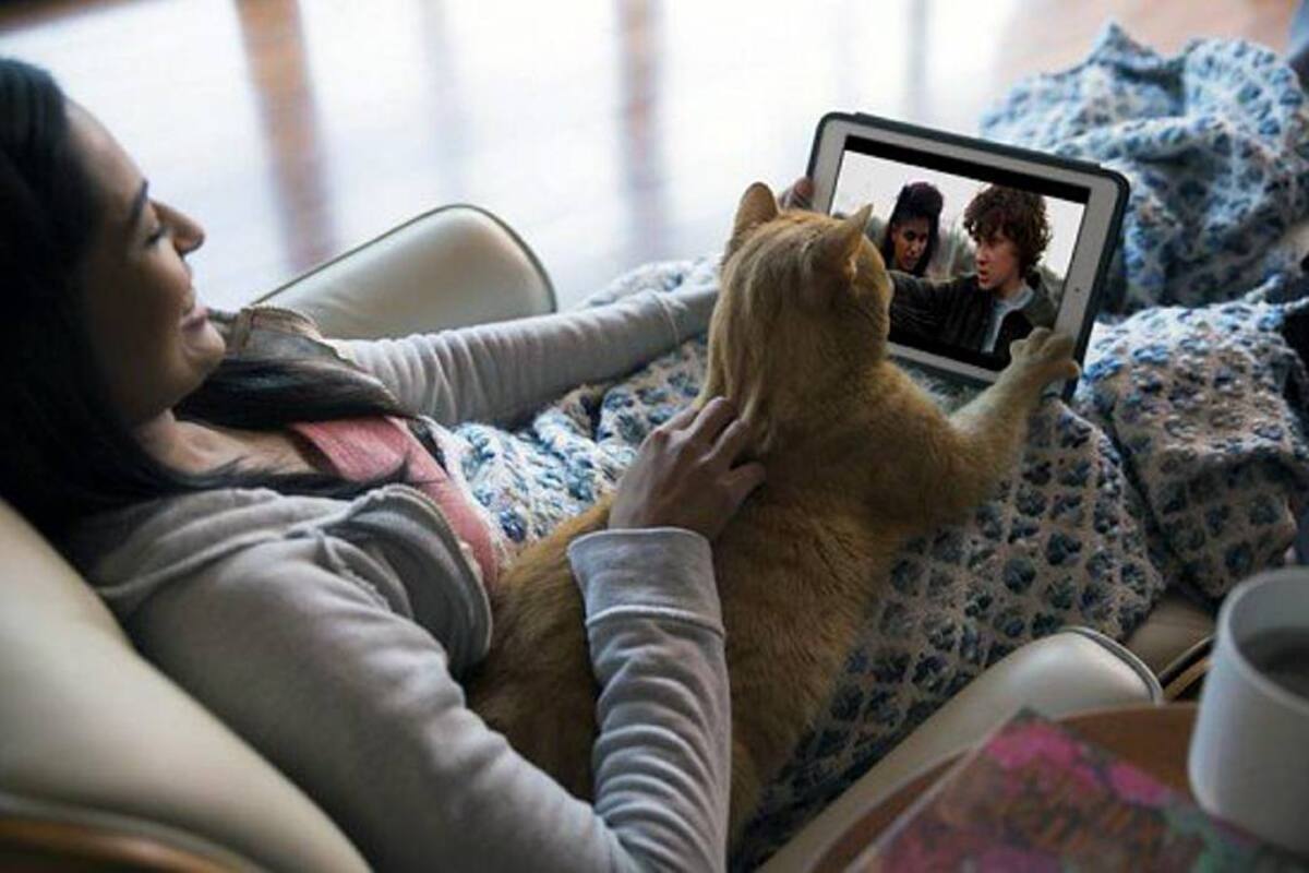 Algunas mascotas acompañan a sus dueños a la hora de ver una serie en maratón. (Foto: CORTESÍA NETFLIX)