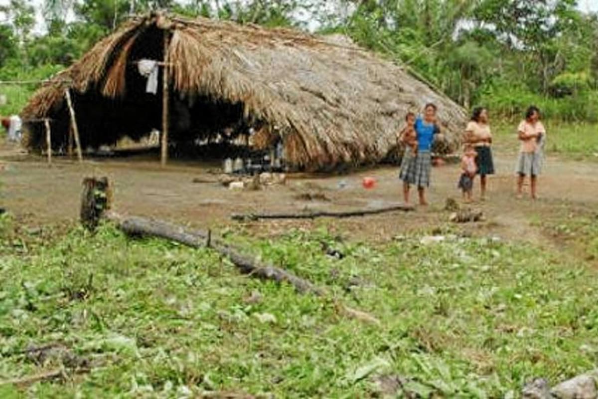 "Pueblos indígenas Jiw y Nükak están en peligro de extinción" (Foto: Tomada de internet/VANGUARDIA.COM)