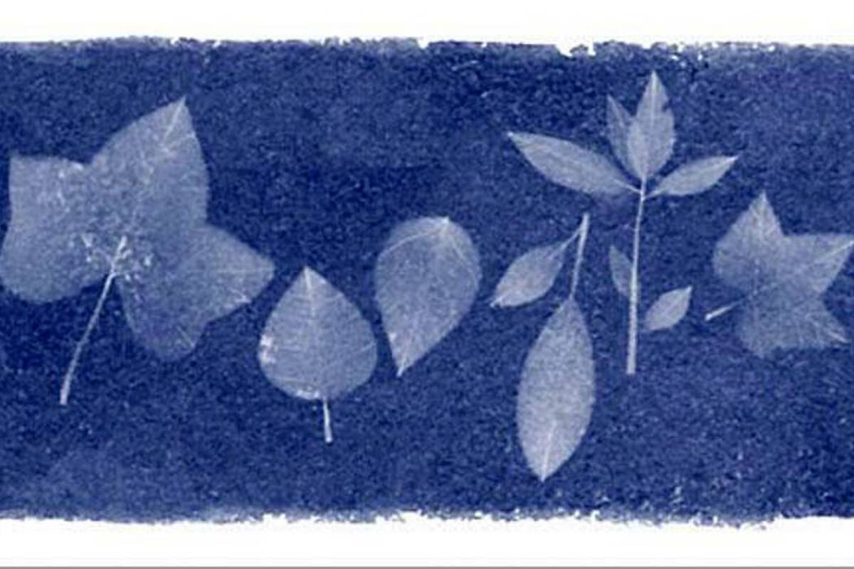 Doodle de Google: Anna Atkins, la primera fotógrafa de la historia nació hoy (Foto: Tomada de google)