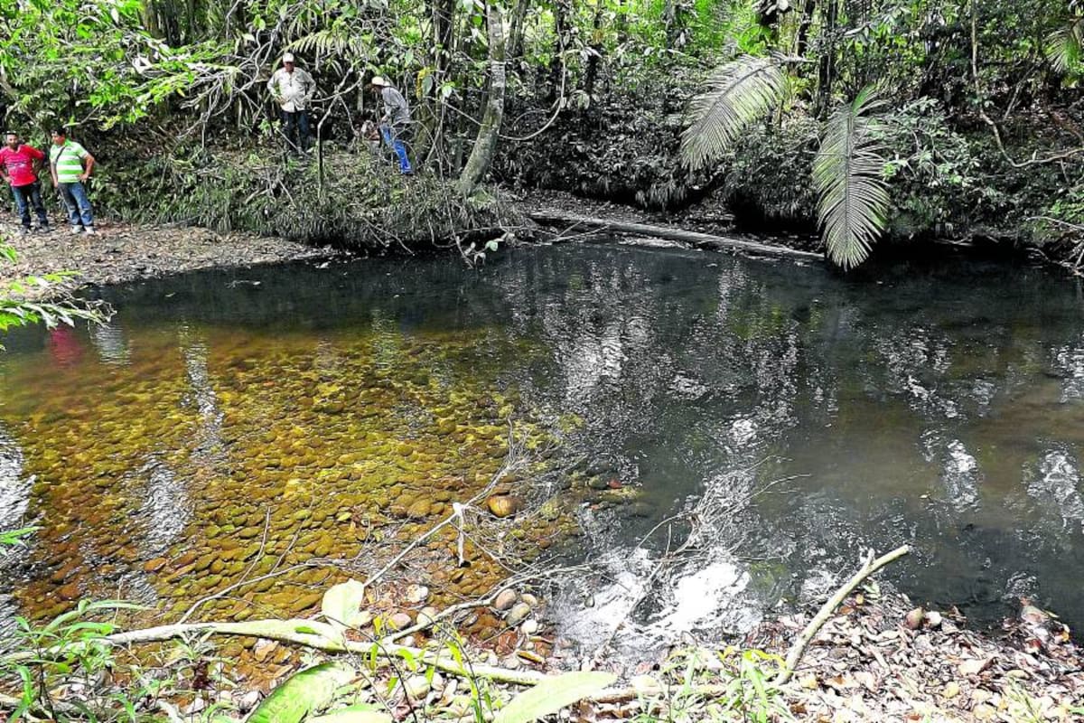 El veneno que contamina las aguas en Sabana de Torres (Foto: Suministrada/VANGUARDIA LIBERAL)