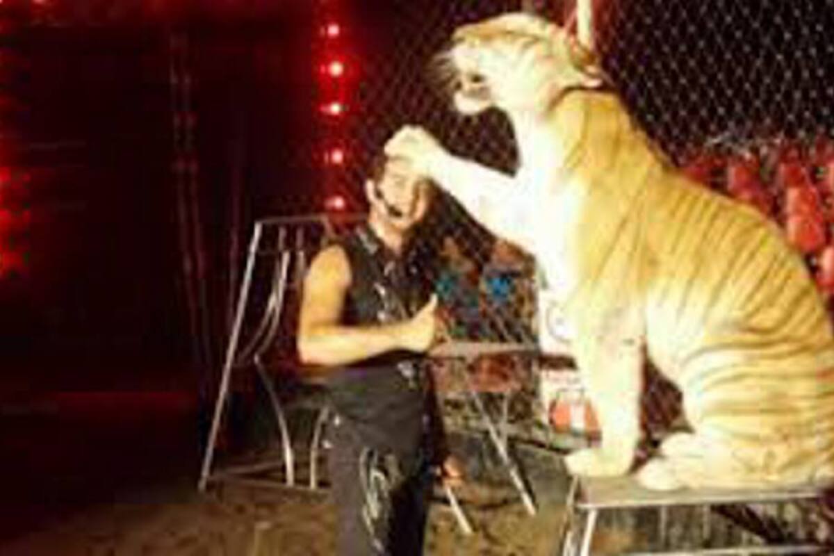 Domador muere tras ataque de tigre en plena función de circo (Foto: Tomada de Internet/ VANGUARDIA LIBERAL)