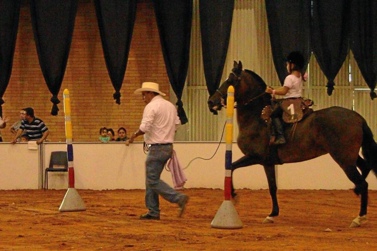 Pequeños chalanes se tomaron la Agroferia (Foto: Paula Pimiento/ VANGUARDIA.COM)
