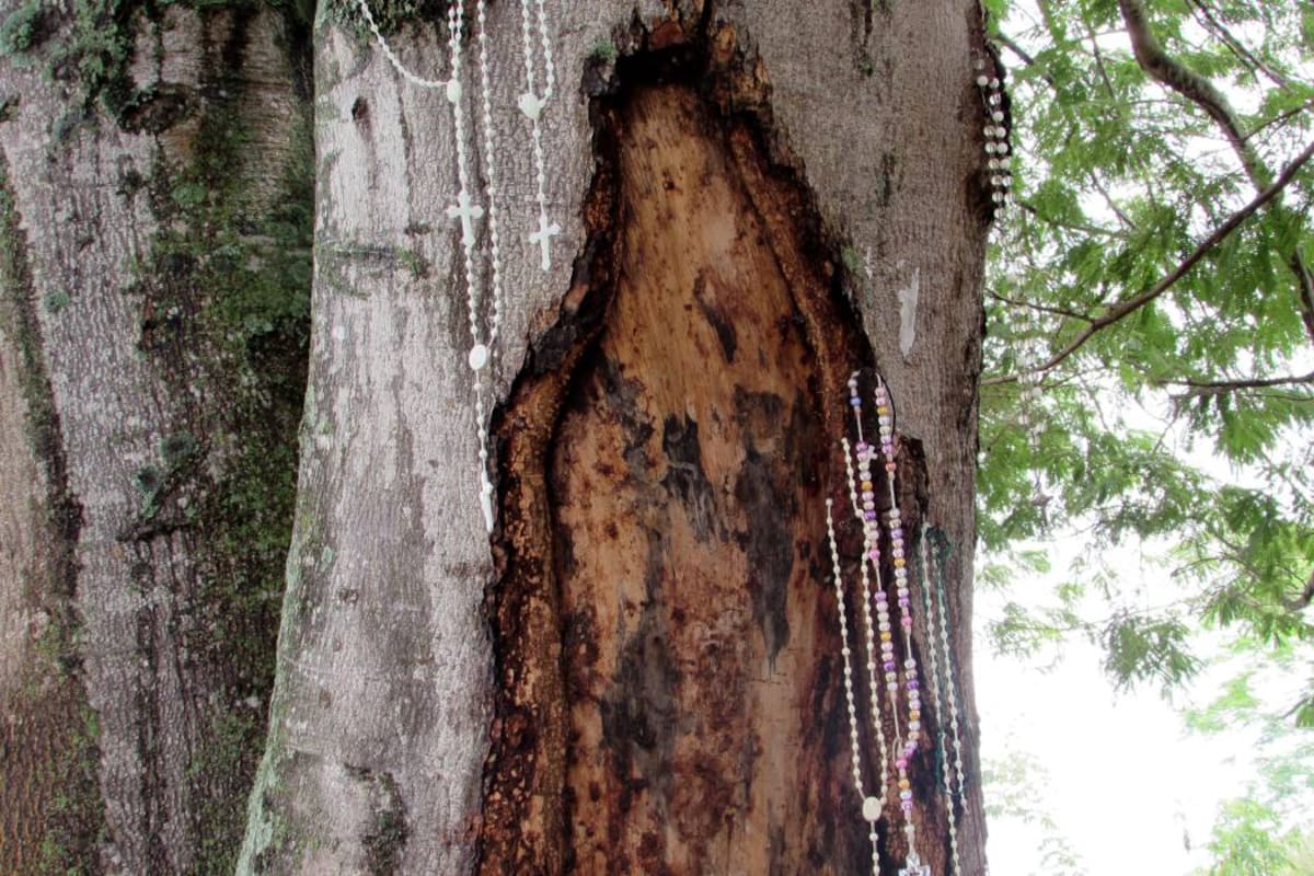 Los milagros de la virgen que apareció en Bucaramanga (Foto: Carlos Emanuel Morales)