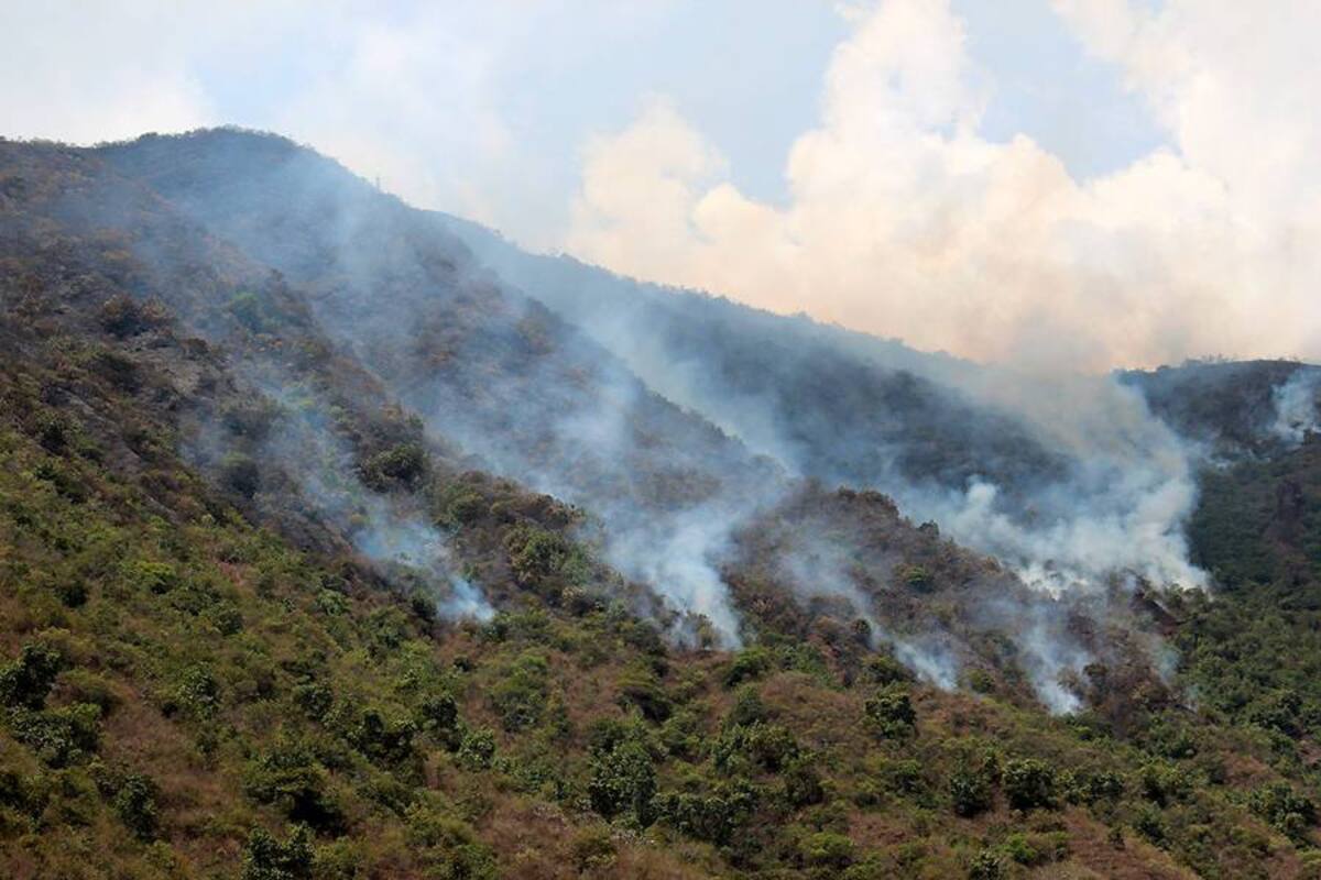 Incendio “fuera de control” en Santander cumple seis días (Foto: Suministrada Jorge Martínez/VANGUARDIA LIBERAL)