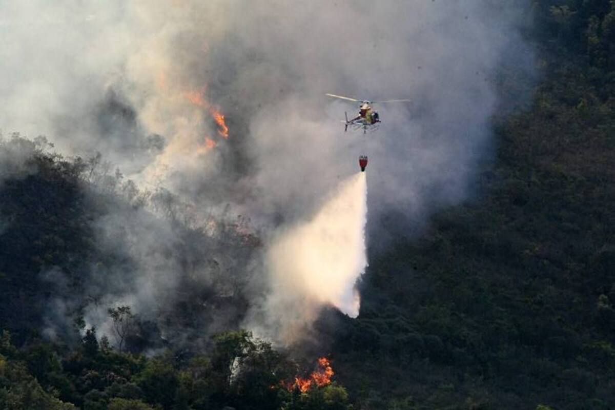 Un incendio destruye el 80 % del principal parque natural de Belo Horizonte (Foto: Tomada de Internet/VanguardiaLiberal)