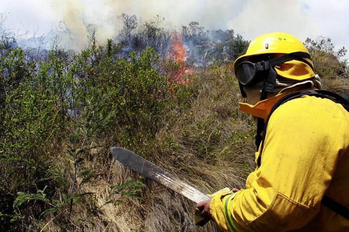 Incendio forestal afecta al cerro Quitasol en Bello, Antioquia (Foto: Colprensa/ VANGUARDIA LIBERAL)