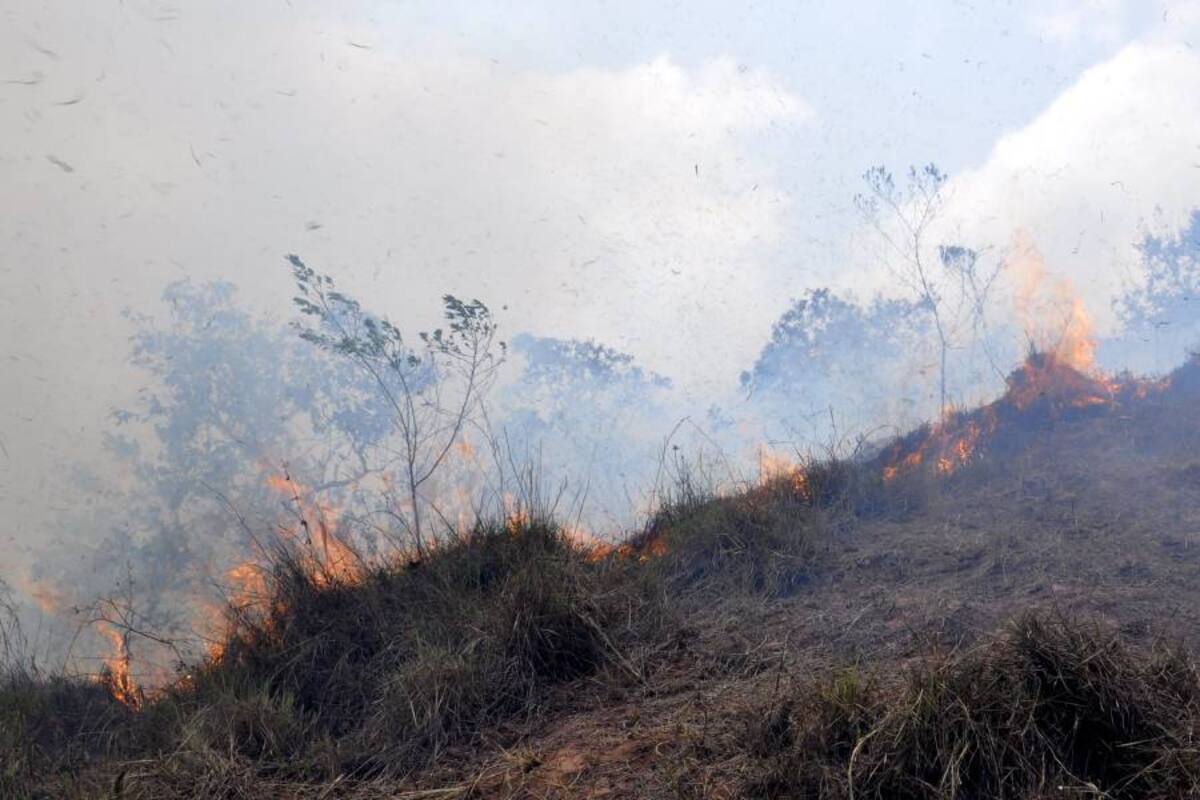 Una semana cumple incendio fuera de control en Santander (Foto: Suministrada/ VANGUARDIA LIBERAL)
