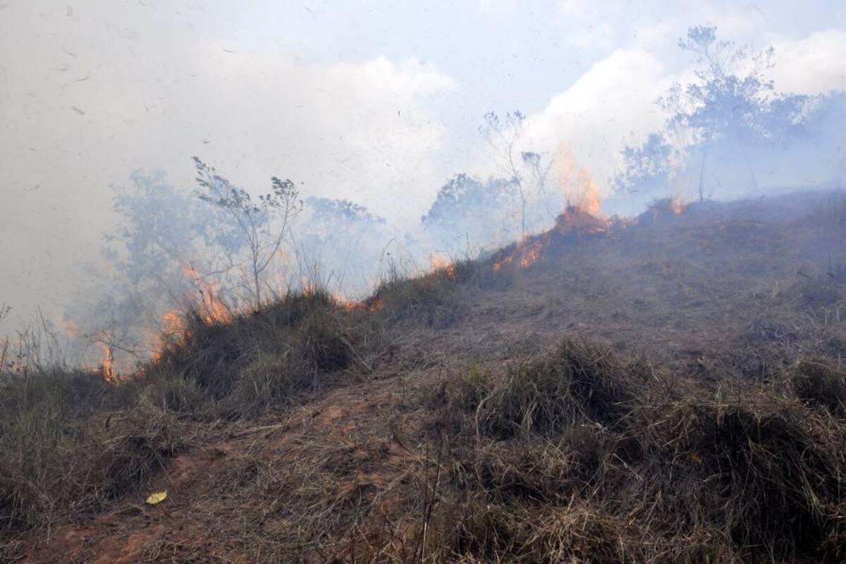 24 horas completa un incendio en zona rural de Matanza (Foto: Suministrada por la CDMB/ VANGUARDIA LIBERAL)