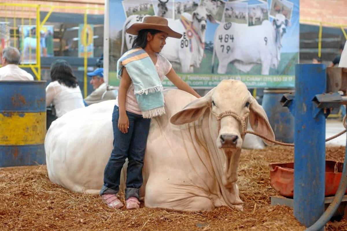 Todo listo para la décima Agroferia de Bucaramanga 2012 (Foto: ARCHIVO / VANGUARDIA LIBERAL)
