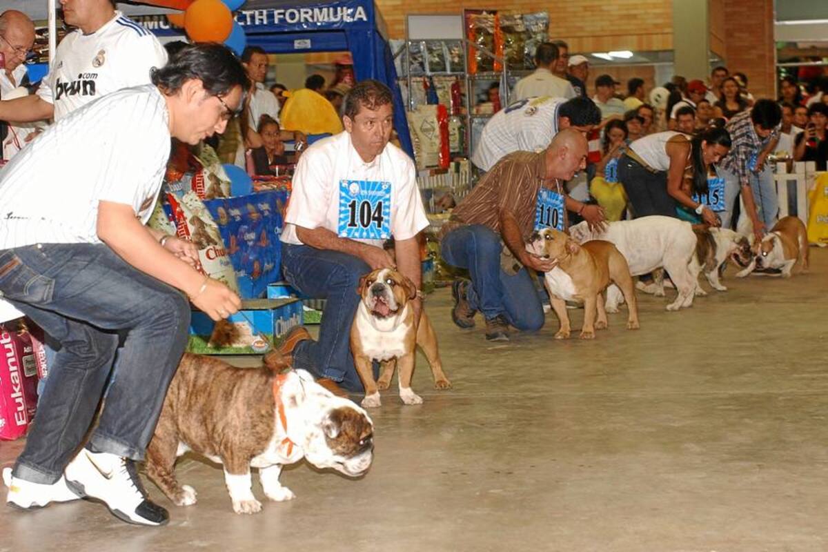 La Feria también fue canina (Foto: Jaime del Rio/ VANGUARDIA LIBERAL)