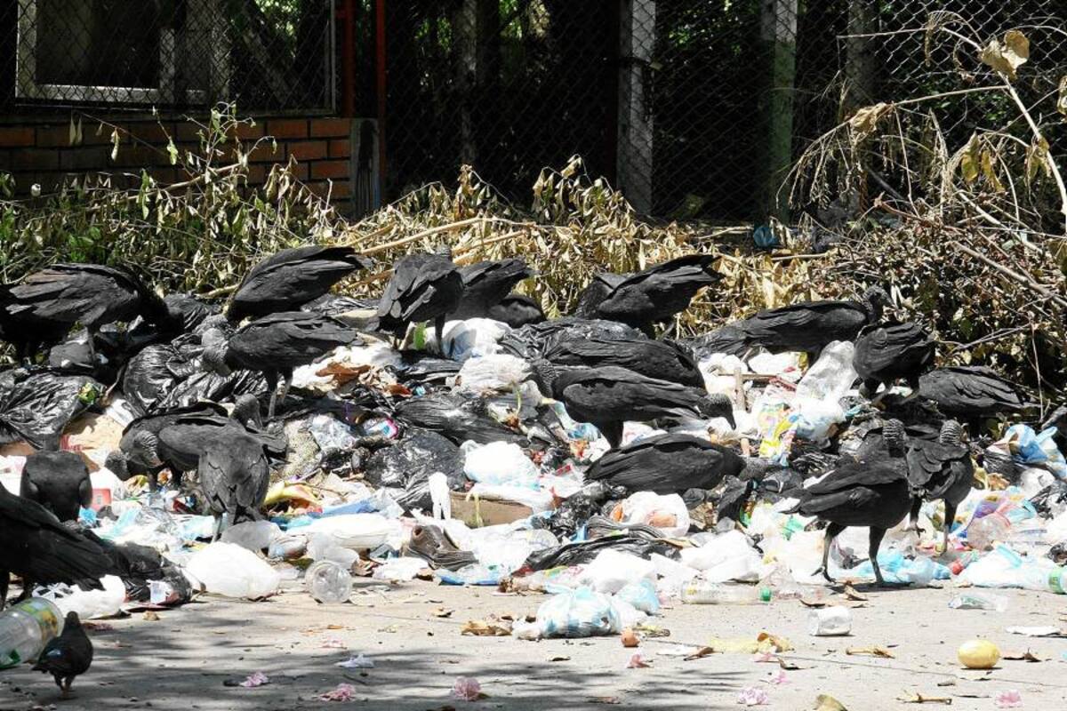 190 municipios flotan en basura (Foto: Archivo/VANGURDIA LIBERAL)