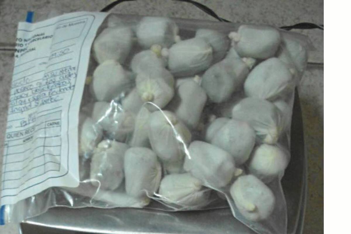 Detienen a colombiano con 23 kilos de cocaína en Argentina (Foto: Tomado de Internet/ VANGUARDIA LIBERAL)