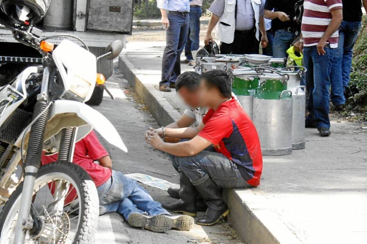 Policía desmanteló banda dedicada a robar leche (Foto: Marco Valencia / Vanguardia Liberal)