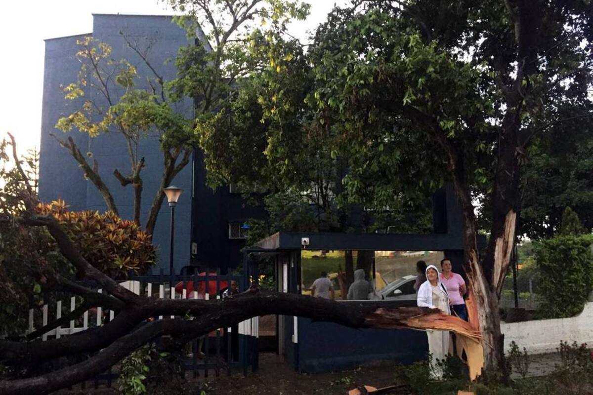 Tras fuerte lluvia reportan emergencias menores en Bucaramanga y el área (Foto: Suministrada/ VANGUARDIA LIBERAL)