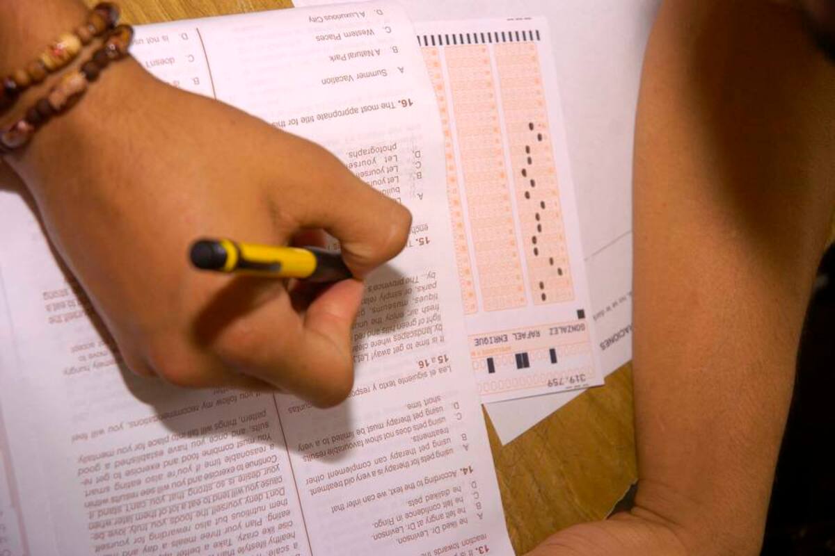 Estos son los mejores colegios de Santander en las pruebas Icfes (Foto: Archivo/VanguardiaLiberal)