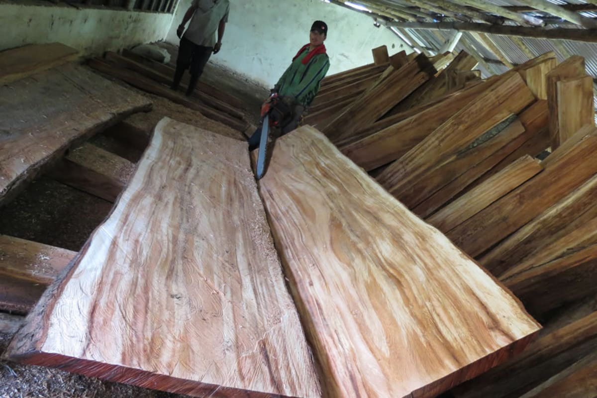 (Foto: Suministradas Hacienda El Roble )