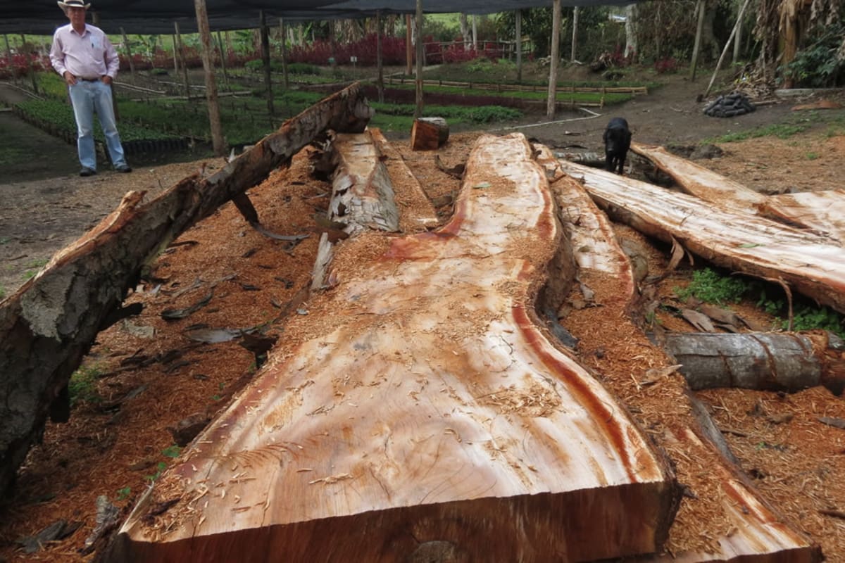 (Foto: Suministradas Hacienda El Roble)