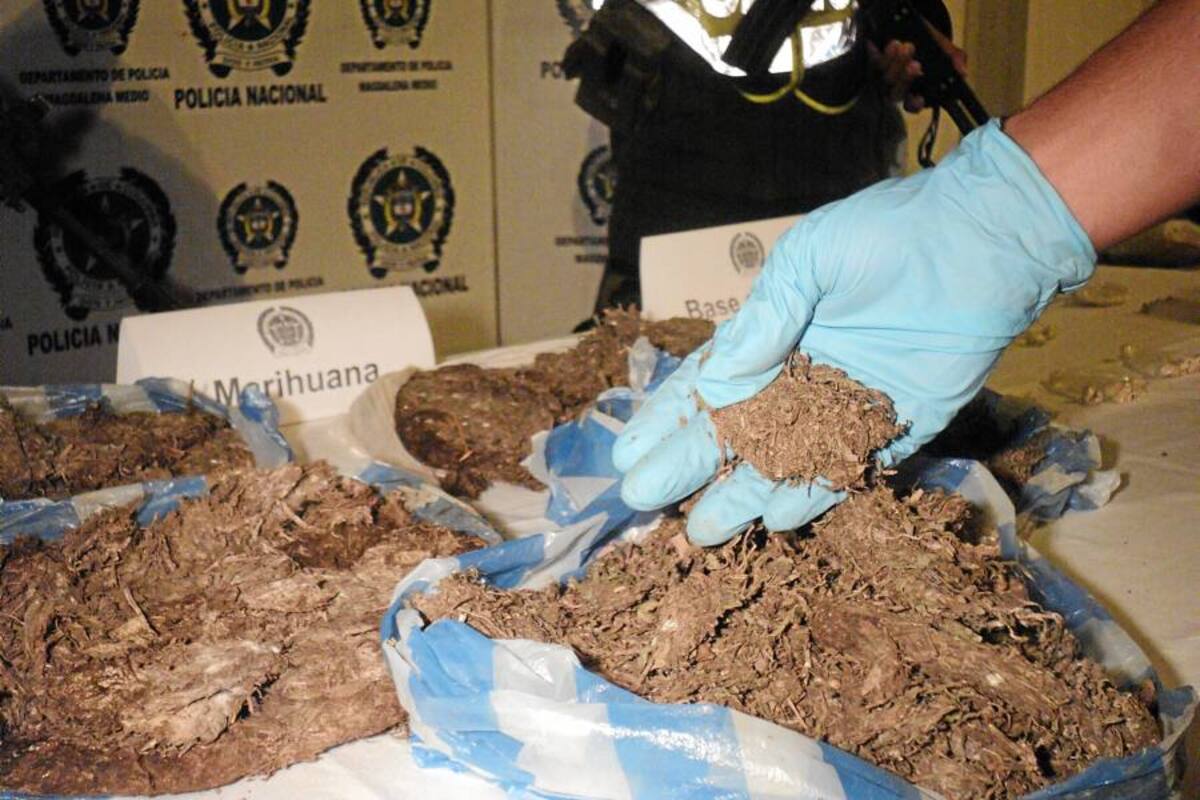 Incautan tres toneladas de marihuana de las Farc en el Cauca (Foto: Archivo/ VANGUARDIA LIBERAL)