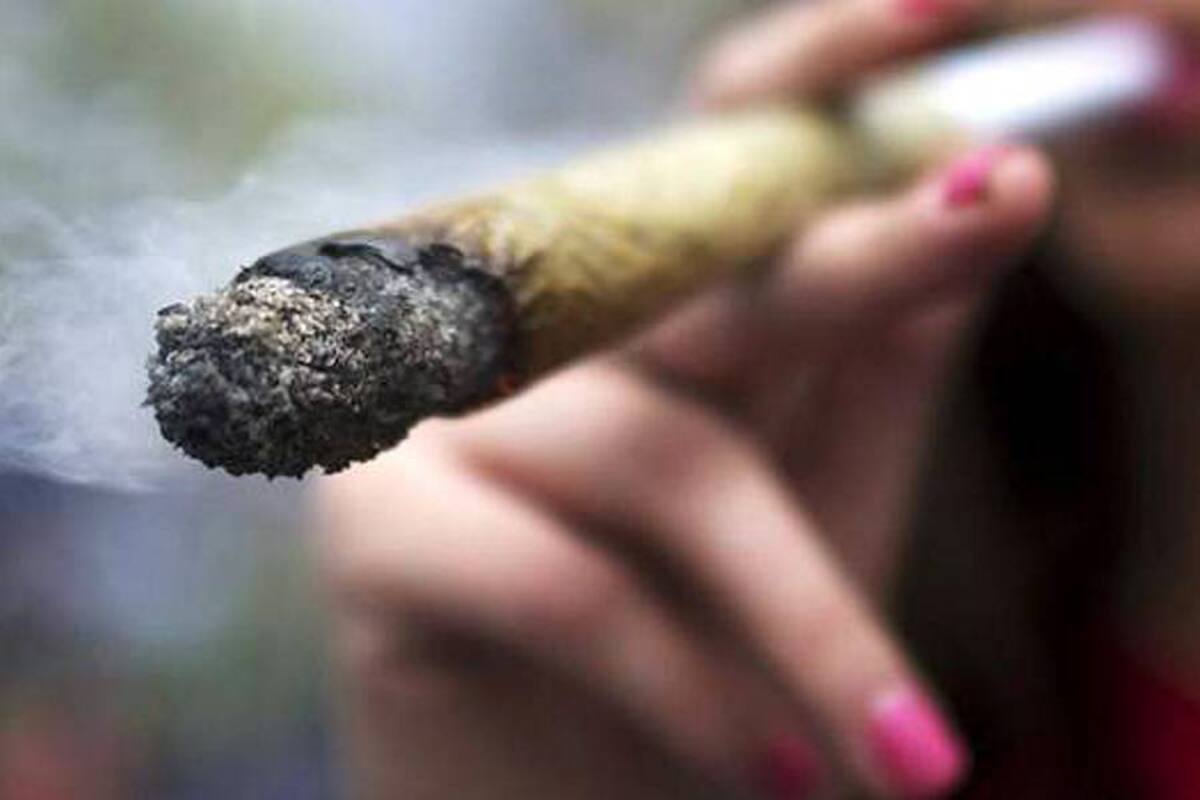 Legalización de la marihuana, presente en debate antidrogas en América (Foto: Tomada de Internet/VanguardiaLiberal)