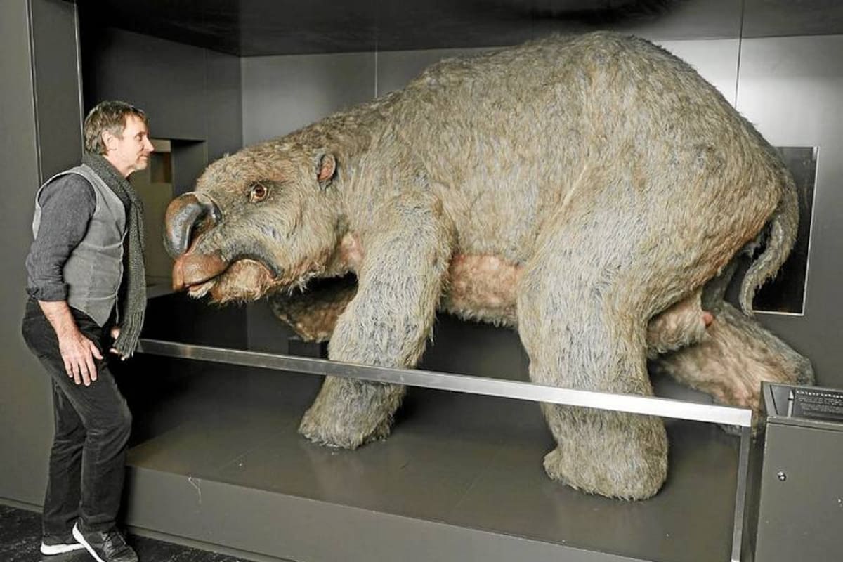 Hallan en Australia los restos de unos 40 marsupiales gigantes prehistóricos (Foto: Tomado de Internet/ VANGUARDIA LIBERAL)