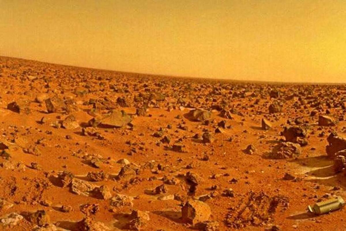 Logran que líquenes hagan la fotosíntesis en un entorno simulado de Marte (Foto: Tomado de Internet/ VANGUARDIA LIBERAL)