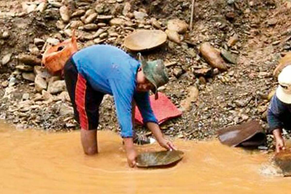 79 mil hectáreas se han afectado por minería de oro de aluvión (Foto: Archivo / VANGUARDIA LIBERAL)