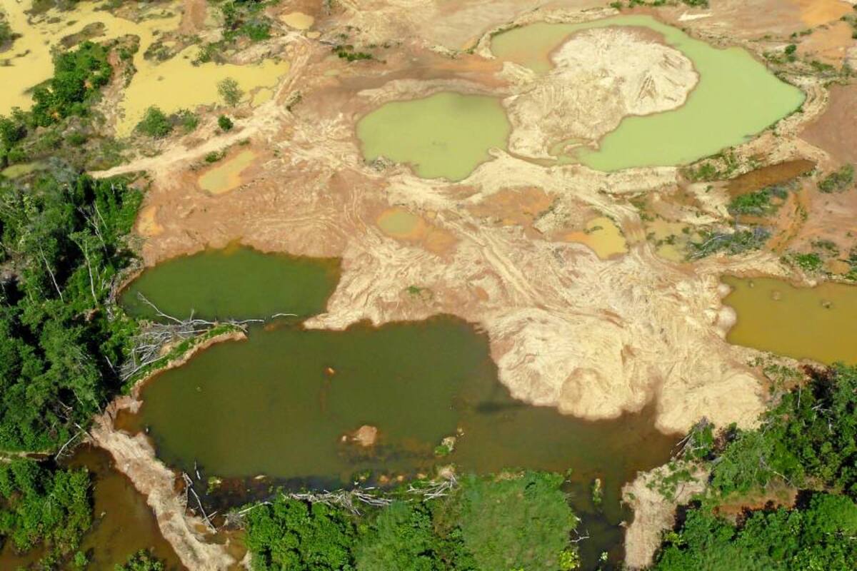 Medio ambiente, la otra víctima del conflicto armado (Foto: Archivo/VANGUARDIA LIBERAL)