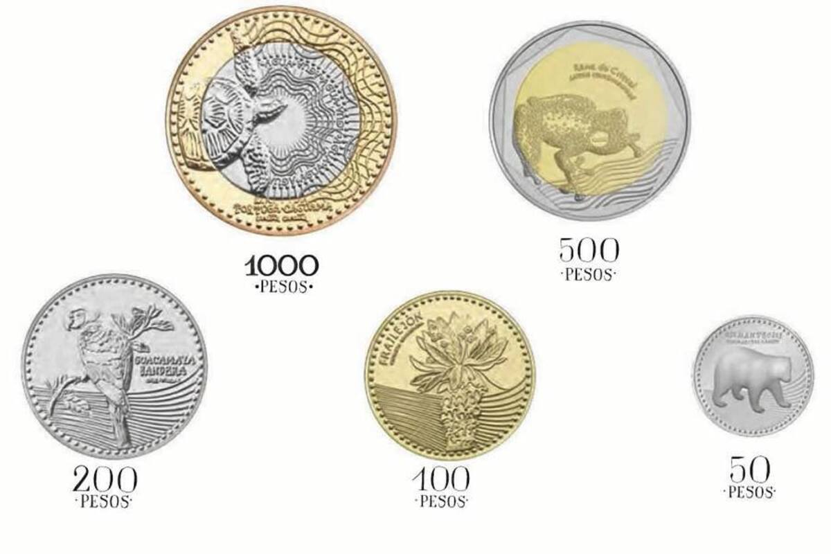 Estas son las nuevas monedas que circularán por las manos de los santandereanos (Foto: Tomado de Internet/ VANGUARDIA LIBERAL)